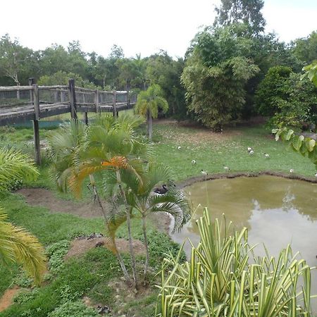 Daintree Wild Bed&Breakfast Exterior foto