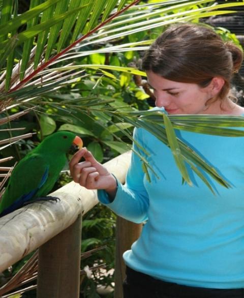 Daintree Wild Bed&Breakfast Exterior foto