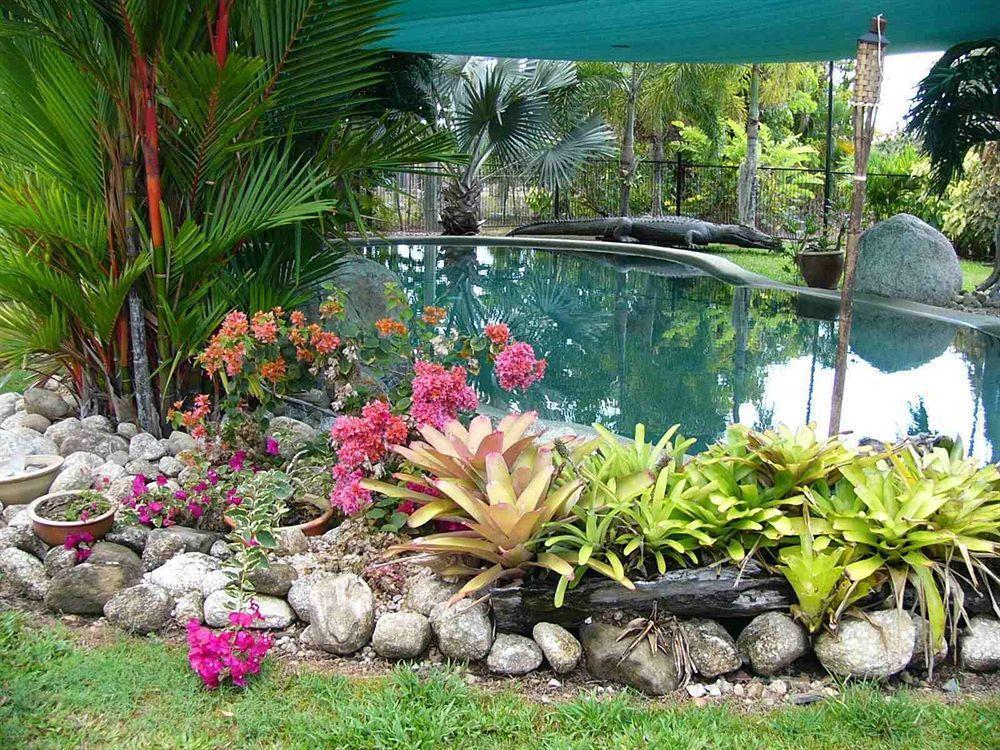 Daintree Wild Bed&Breakfast Exterior foto