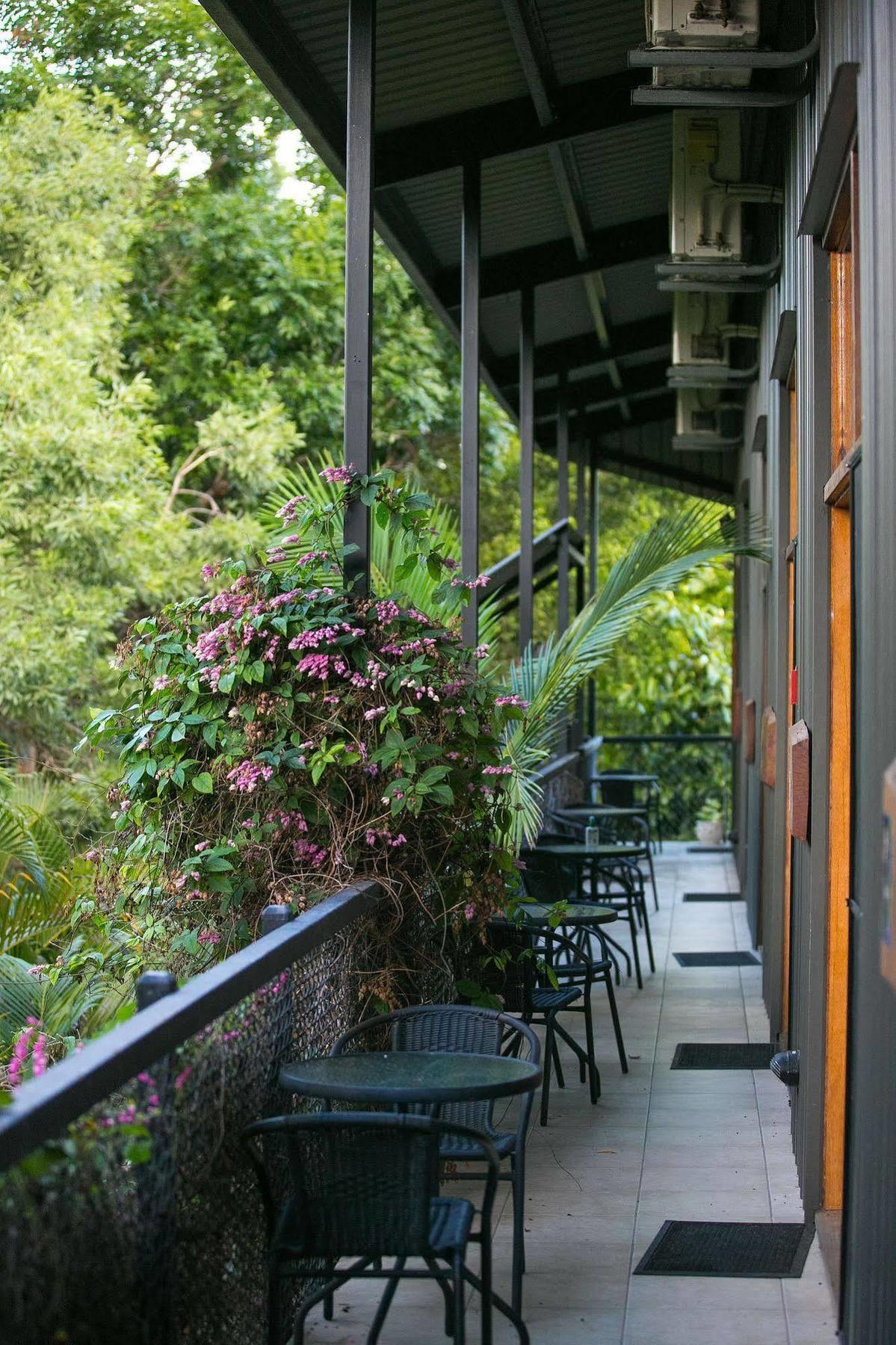 Daintree Wild Bed&Breakfast Exterior foto