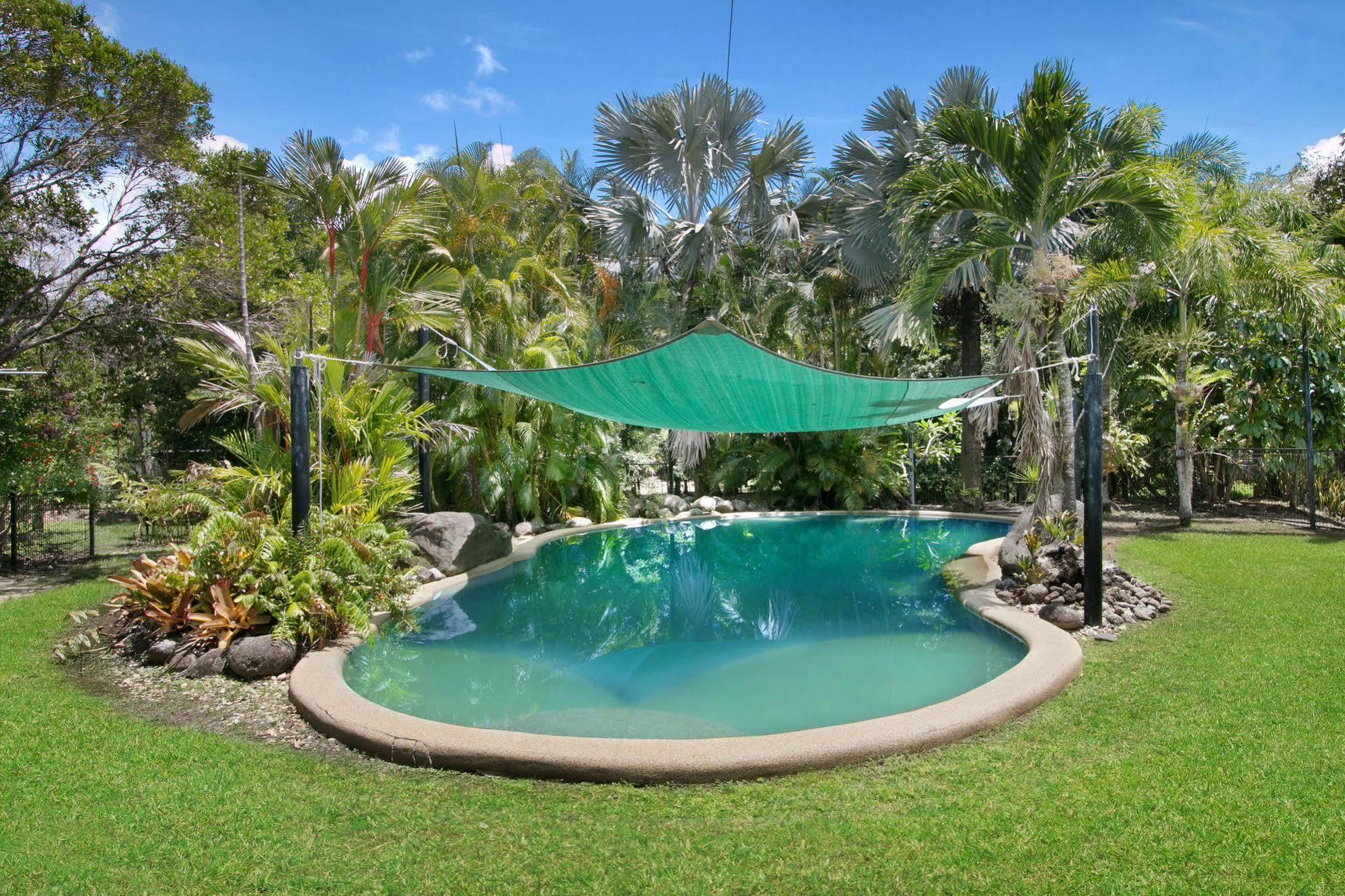 Daintree Wild Bed&Breakfast Exterior foto